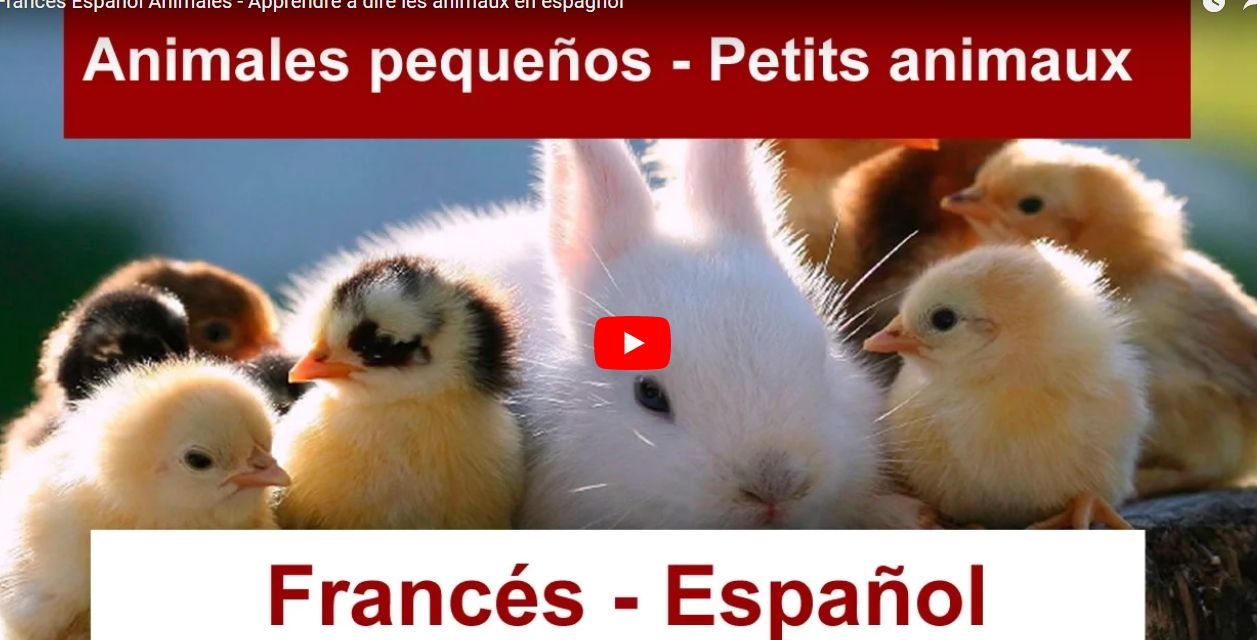 animales-frances