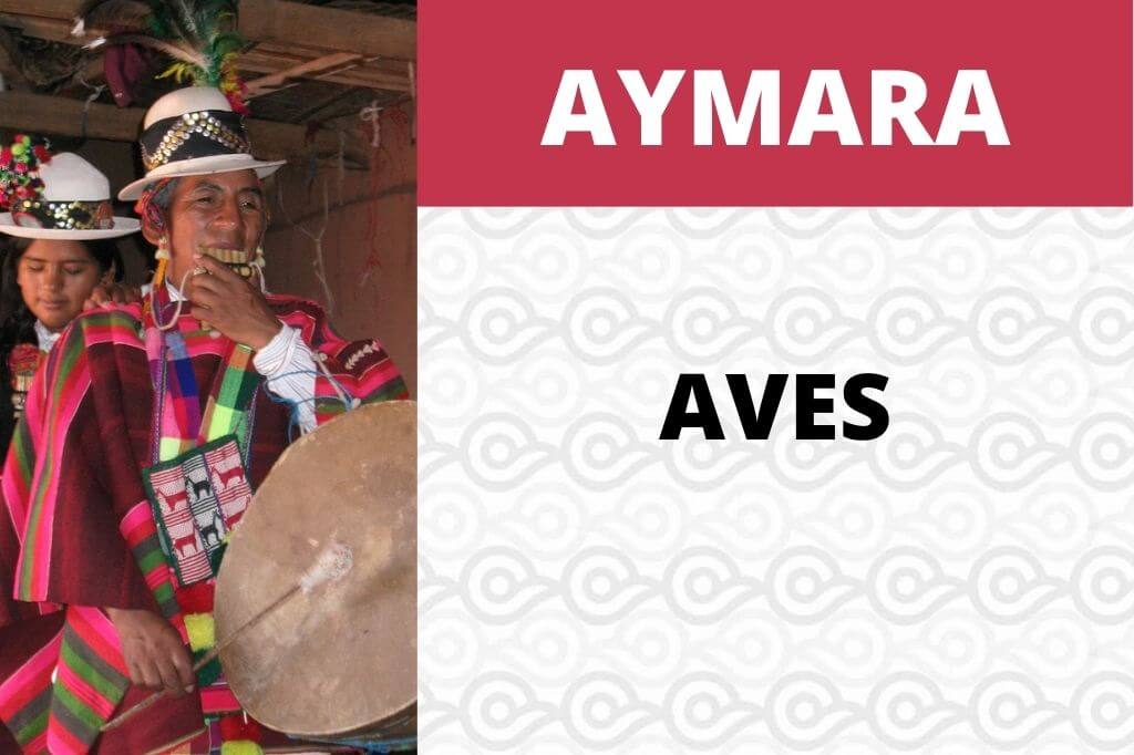 AVES EN AYMARA VOCABULARIO