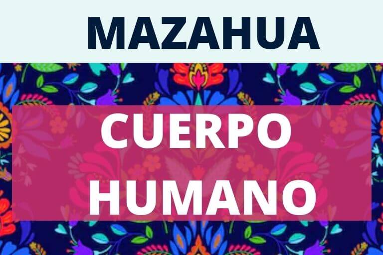 mazahua cuerpo humano