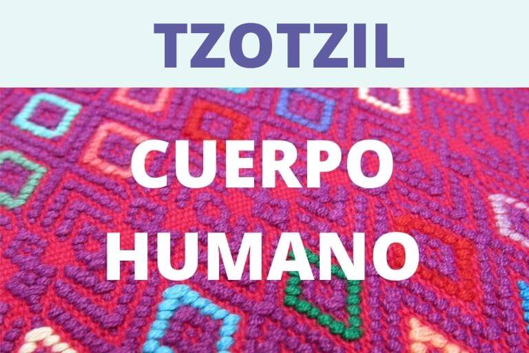 CUERPO HUMANO EN TZOTZIL